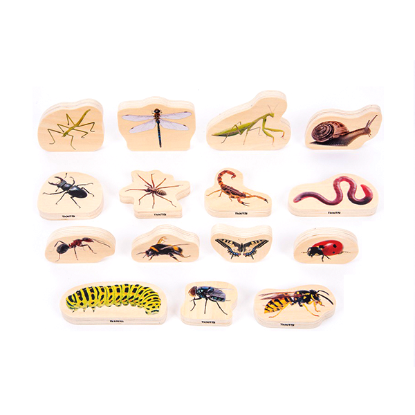 Bloques madera insectos. Set de 15