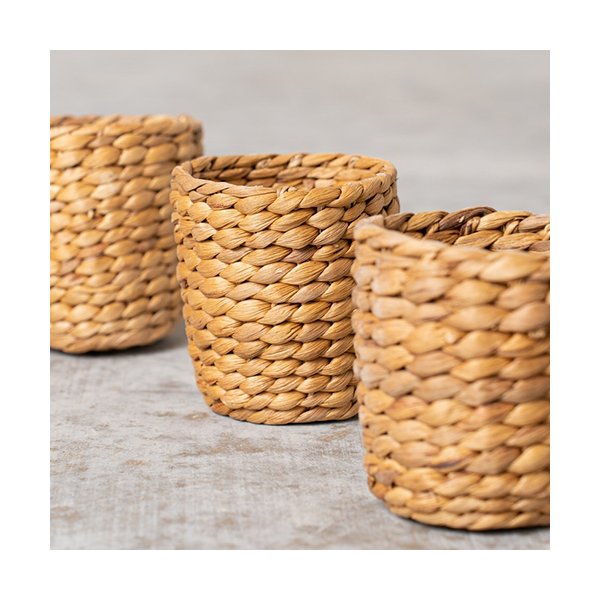 Bols de Jacinto de Agua Ø10 cm. Pack de 3