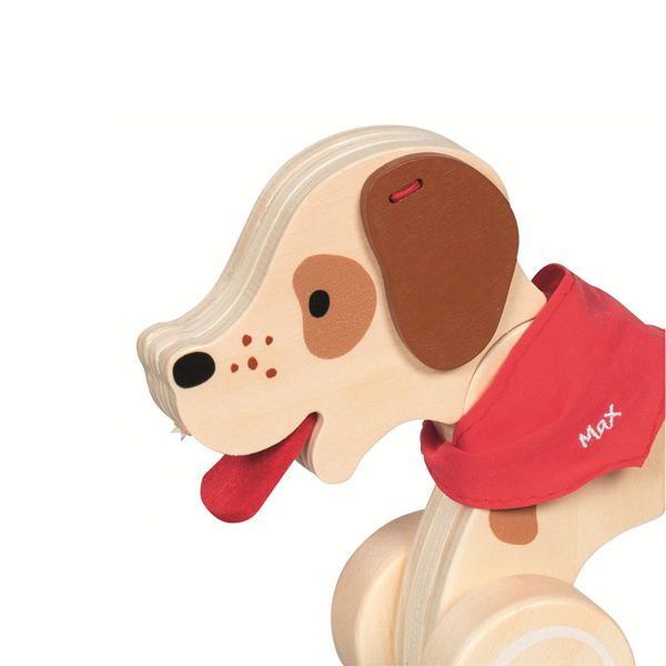 Arrastre perro Max