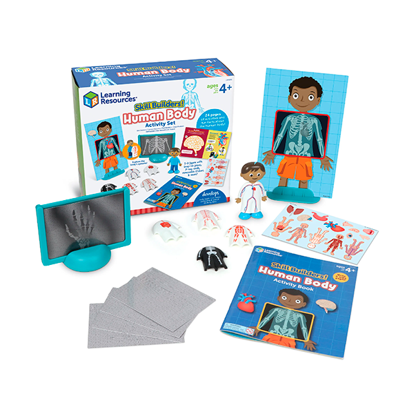 Constructor actividades! El cuerpo humano
